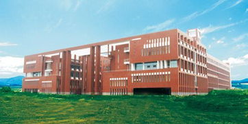 雖說是冷門專業(yè),但在這所大學,足以媲美清華北大