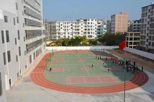 同學丨報讀大科技的n個理由